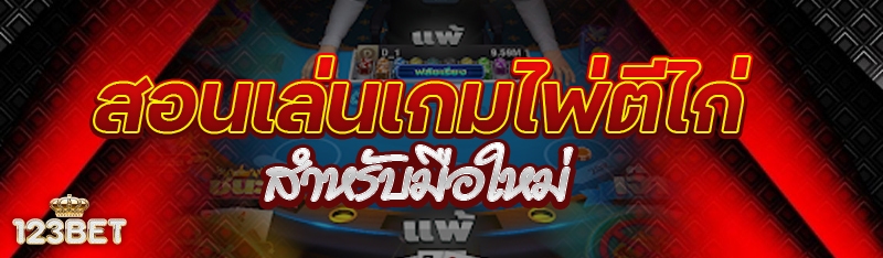 สอนเล่นเกมไพ่ตีไก่ สำหรับมือใหม่