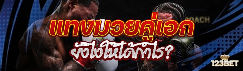 แทงมวยคู่เอก ยังไงให้ได้กำไร?