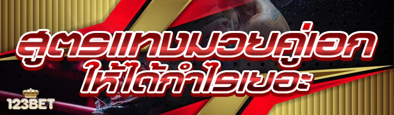 สูตรแทงมวยคู่เอก ให้ได้กำไรเยอะ