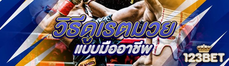 วิธีดูเรตมวยแบบมืออาชีพ